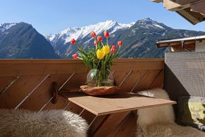 General information about your stay at Apartment Prossegger