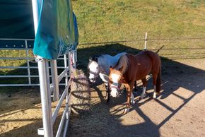 General information about your stay at Appartement Rossalm mit Sauna für 4-11 Personen