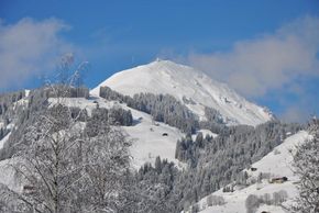 General information about your stay at Appartement Schipflinger