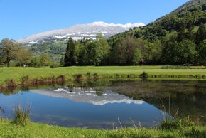 General information about your stay at Appartementhaus Luisa