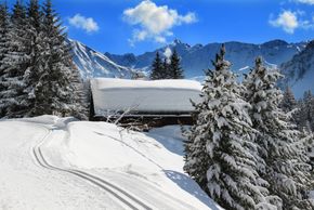 General information about your stay at Appartementhaus Luisa