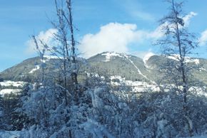 General information about your stay at Appartements Edelweiss