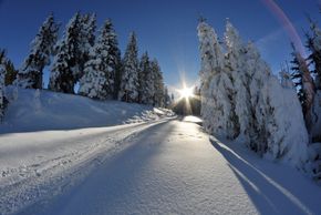 General information about your stay at Apparthotel Ferienhaus Bliem