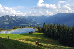 General information about your stay at Appartments Oberschernthann