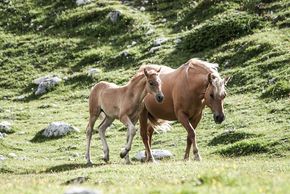 General information about your stay at Aqua Bad Cortina - Oasis Hotel