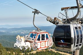 General information about your stay at Arberschutzhaus