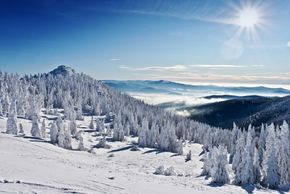 General information about your stay at Arberschutzhaus