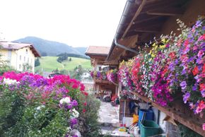 General information about your stay at Badhaus