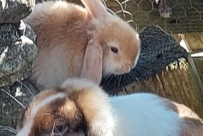 General information about your stay at Badhaus