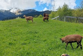 General information about your stay at Badhaus