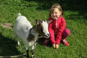 General information about your stay at Baumannhof