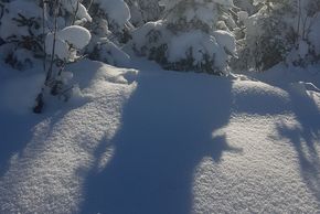 General information about your stay at Berggasthaus & Pension Schöne Aussicht