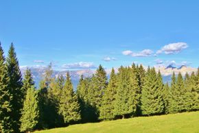 General information about your stay at Berghotel Jochgrimm