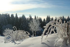 General information about your stay at Berghaus Oberleitner