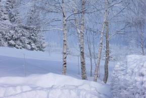 General information about your stay at Berghaus Oberleitner