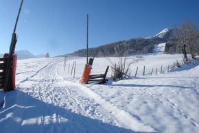 ski and toboggan run just behind the house