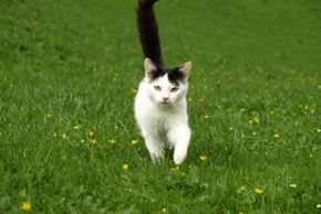 General information about your stay at Biohof Maurachgut