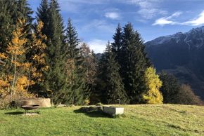 General information about your stay at Bitschweil Hüsle