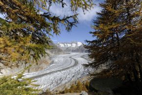 General information about your stay at Chalet Carpe Diem 2