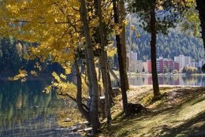 General information about your stay at Chesa Derby App. 3