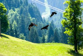 General information about your stay at Das kleine Berghotel