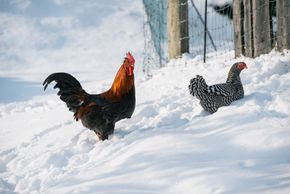 General information about your stay at Familienbauernhof Göttfriedbauer