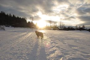 General information about your stay at Ferienwohnung Bärenhof