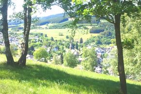 General information about your stay at Ferienwohnung Haus Dorothee