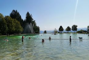 General information about your stay at Apartment Löwenzahn