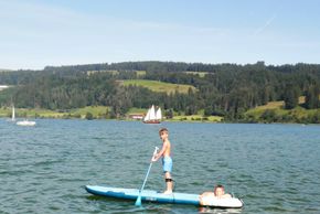 General information about your stay at Apartment Löwenzahn