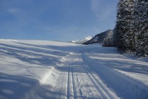 General information about your stay at Ferienwohnung Ronacher