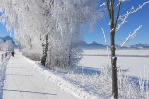 General information about your stay at Ferienwohnung Schreieck