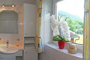 a shower with double sink