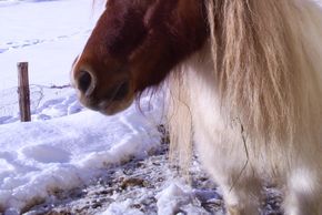 General information about your stay at Ferienwohnungen Gsenger