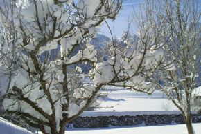 General information about your stay at Ferienwohnungen Gsenger