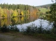 General information about your stay at Ferienwohnungen Haus - Peschl