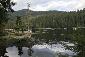 General information about your stay at Ferienwohnungen Haus Elisabeth