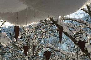 General information about your stay at Ferienhaus Angelika