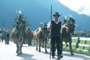 General information about your stay at Ferienhaus Barbara