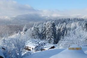 General information about your stay at Ferienhaus Dankesreiter