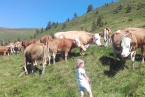 General information about your stay at Ferienhaus Rohrmoos