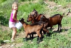 General information about your stay at Ferienhaus Rohrmoos