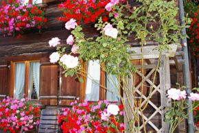 General information about your stay at Fewo Markus Kieber