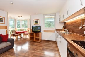 General information about your stay at Fewo Mattle