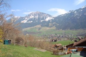 General information about your stay at Fewo Meyer-Ruef