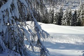 General information about your stay at Mitterunterberghof