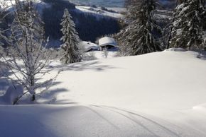 General information about your stay at Mitterunterberghof