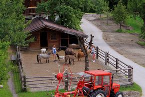 General information about your stay at Fewo Monika Kolb