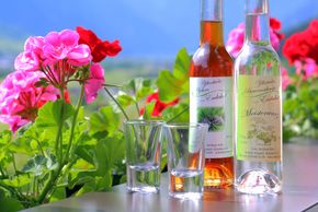 General information about your stay at Fewo Monika Kolb