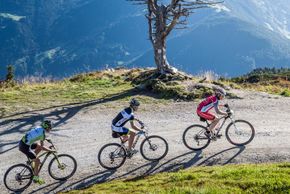 General information about your stay at Fewo Haus Enzian